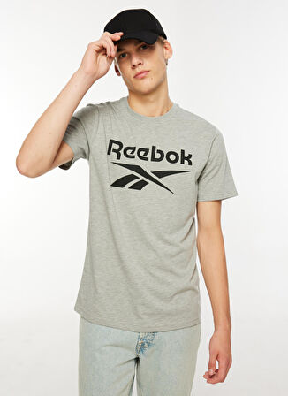 Reebok Gri Melanj Erkek Yuvarlak Yaka T-Shirt IM1617 REEBOK IDENTITY STACKED L