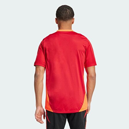 Adidas TIRO24 C TR JSY KIRMIZI Erkek Forma