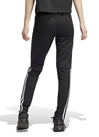 adidas Eşofman Altı, M, Siyah