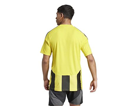 adidas Striped 24 Jsy Erkek Futbol Forması IW2146 Sarı