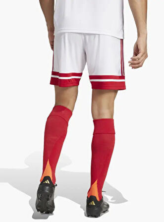 adidas Squadra 25 Erkek Maç Şortu
