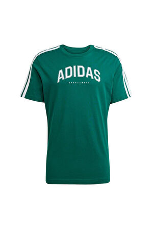 adidas Erkek  Yeşil  GRAPHIC TEE (SHORT SLEEVE M C COLLEG TEE JJ3869