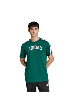 adidas Erkek  Yeşil  GRAPHIC TEE (SHORT SLEEVE M C COLLEG TEE JJ3869