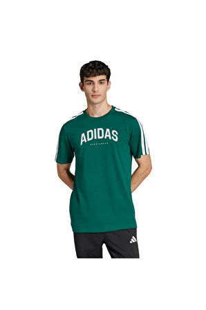 adidas Erkek  Yeşil  GRAPHIC TEE (SHORT SLEEVE M C COLLEG TEE JJ3869