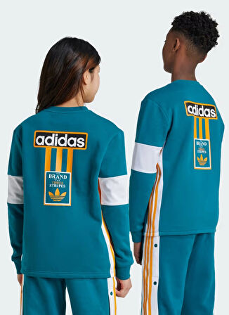 adidas Düz Erkek Çocuk Yeşil Sweatshırt IW6013-CREW