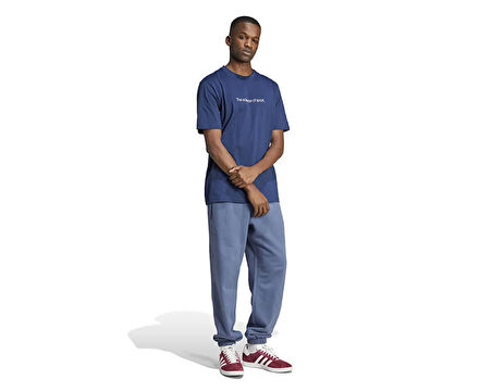 adidas Ts Fashion 2 Erkek Günlük Tişört IZ2589 Mavi