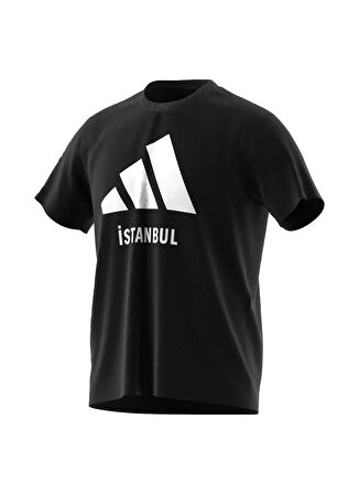 Siyah Erkek Yuvarlak Yaka Normal Kalıp T-Shirt JE2735 ISTANBUL TEE