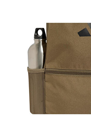 CLSC PCASE BP