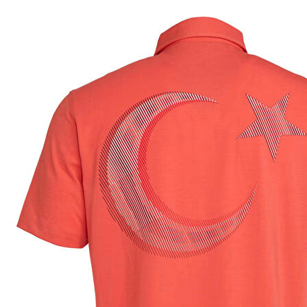 Türkiye Erkek Pembe Günlük Stil Polo T-Shirt JG0918