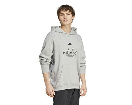 adidas Bl Ft Hd Q3 Erkek Günlük Sweatshirts IX1316 Gri
