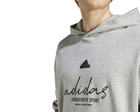 adidas Bl Ft Hd Q3 Erkek Günlük Sweatshirts IX1316 Gri