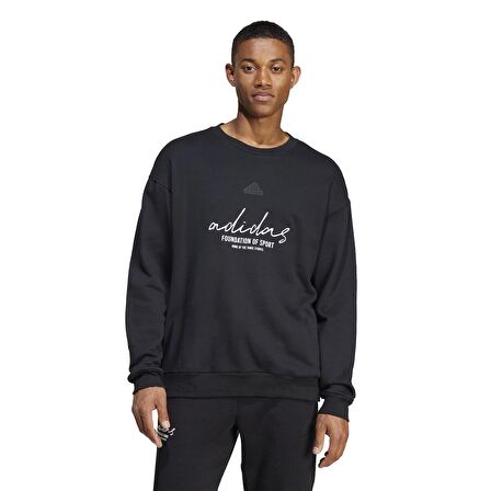 Adidas Bl Ft Crw Q3 Erkek Sweatshirt