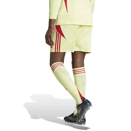 Adidas Erkek Futbol Şort Tiro24 Sho Jı6090