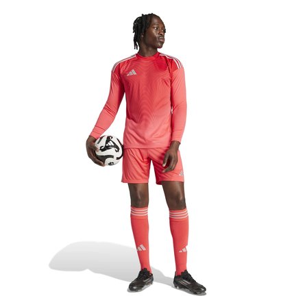 Adidas Erkek Futbol Şort Tiro24 Sho Jı6091