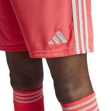 Adidas Erkek Futbol Şort Tiro24 Sho Jı6091