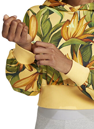 adidas Sweatshırt