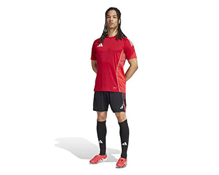 adidas Tiro25C Tr Sho Erkek Futbol Antrenman Şortu JI6491 Renkli