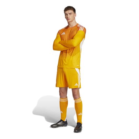 Adidas Erkek Futbol Şort Tiro24 Sho Jn4497