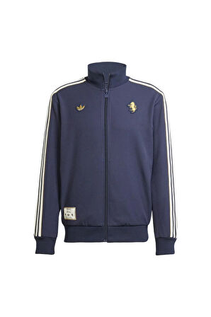 adidas Erkek  Mavi  Ceket JUVE ICON TT JF0459