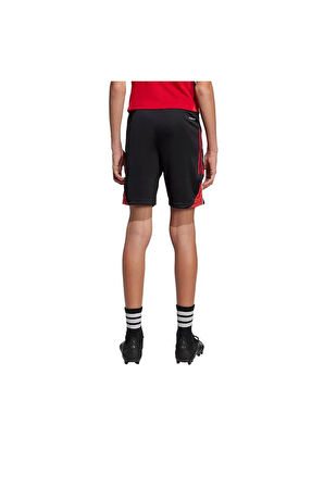 adidas Çocuk  Siyah  Şort TIRO25C TR SHOY JI6487