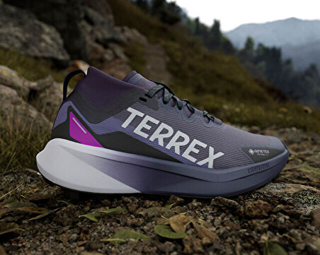 adidas Terrex Agravic Gtx W Unisex Arazi Tipi Koşu Ayakkabısı JR7785 Mor