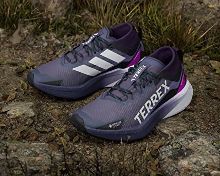 adidas Terrex Agravic Gtx W Unisex Arazi Tipi Koşu Ayakkabısı JR7785 Mor