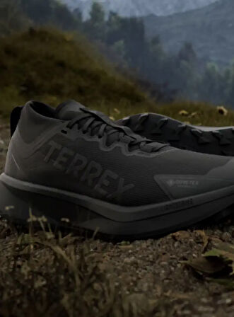 adidas Terrex Agravic GORE-TEX Erkek Outdoor Ayakkabısı
