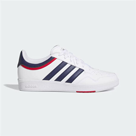 HOOPS 4.0