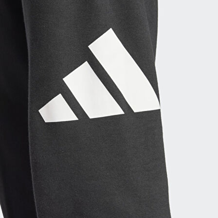 adidas IN6163 M BL FT PT Erkek Tek Alt