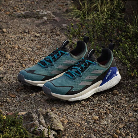 TERREX FREE HIKER 2 LOW GTX