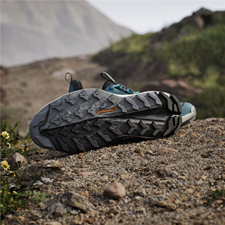 TERREX FREE HIKER 2 LOW GTX