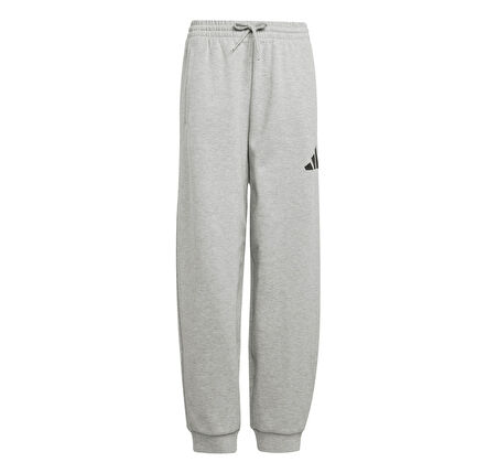 JC7565-C adidas J Fı Logo Pt çocuk Eşofman Altı Gri
