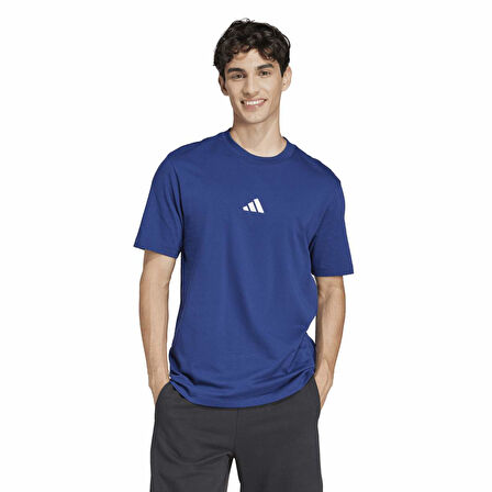 Adidas Erkek Tişört Small Logo Sj