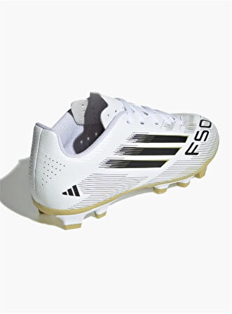 F50 CLUB FG/MG J