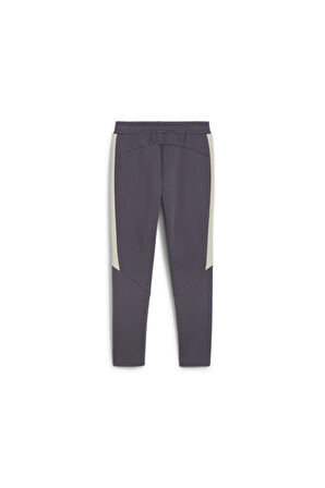 PUMA ERKEK SWEAT PANT EVOSTRIPE PANTS 68170269