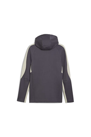 PUMA ERKEK CEKET EVOSTRIPE FULL-ZİP HOODİE 68170069
