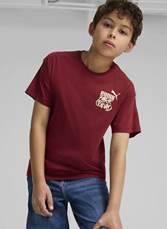 Puma Baskılı Bordo Erkek T-Shirt 68187413-ESS+ MID 90s Graphic Tee