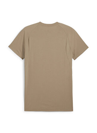 Kahve Erkek Bisiklet Yaka Normal Kalıp T-Shirt 68169767 EVOSTRIPE Tee