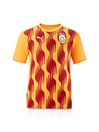 Galatasaray Puma A Takım Antrenman T-Shirt 77969304
