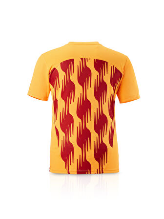 Galatasaray Puma A Takım Antrenman T-Shirt 77969304