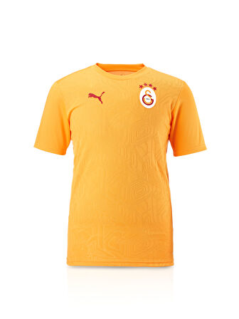 Galatasaray Puma A Takım Antrenman T-Shirt 77969511