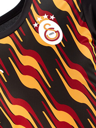 Galatasaray Puma A Takım Antrenman T-Shirt 77969312