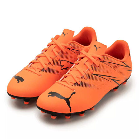 Puma Krampon Ayakkabı 10747714