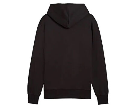 Puma Posterize Hoodie Erkek Günlük Sweatshirts 63029001 Renkli