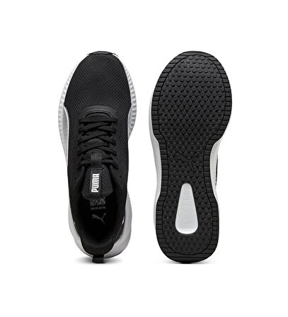 Flyer Lite 3