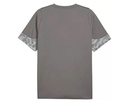 Puma Teamcup Training Jersey Erkek Futbol Tişörtü 65916713 Gri
