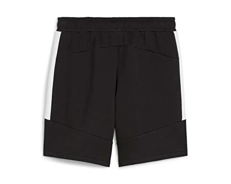 Puma Team Evostripe Shorts Erkek Futbol Şortu 65995103 Siyah