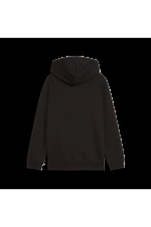 ESS Logo Full-Zip Hoodie FL Siyah Erkek Sweatshirt