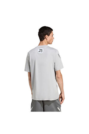 Erkek  Gri  T-Shirt MER SIL TEE M JW3481