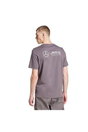 adidas Erkek Gri  T-Shirt MER PW GFXTEE M JY3032